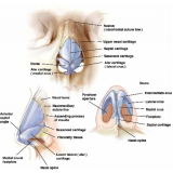 clínica para cirurgia plástica rinoplastia Vila Andrade